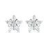 Celestial Zircon Sterling 4mm Star Sparkle Studs